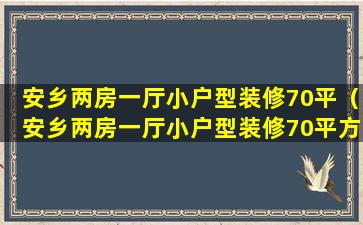 安乡两房一厅小户型装修70平（安乡两房一厅小户型装修70平方多少钱）