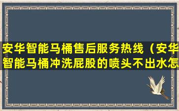 安华智能马桶售后服务热线（安华智能马桶冲洗屁股的喷头不出水怎么办）