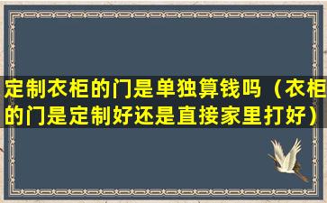 定制衣柜的门是单独算钱吗（衣柜的门是定制好还是直接家里打好）