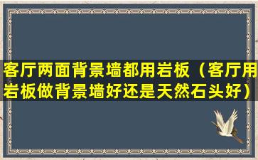 客厅两面背景墙都用岩板（客厅用岩板做背景墙好还是天然石头好）