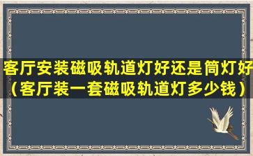 客厅安装磁吸轨道灯好还是筒灯好（客厅装一套磁吸轨道灯多少钱）