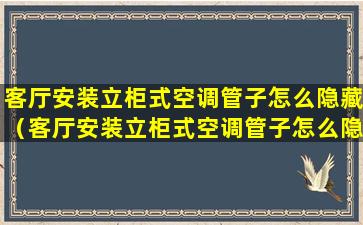 客厅安装立柜式空调管子怎么隐藏（客厅安装立柜式空调管子怎么隐藏起来）