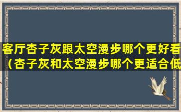 客厅杏子灰跟太空漫步哪个更好看（杏子灰和太空漫步哪个更适合低楼层大面积刷）