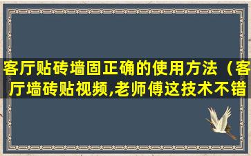 客厅贴砖墙固正确的使用方法（客厅墙砖贴视频,老师傅这技术不错!）