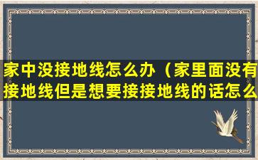 家中没接地线怎么办（家里面没有接地线但是想要接接地线的话怎么接）