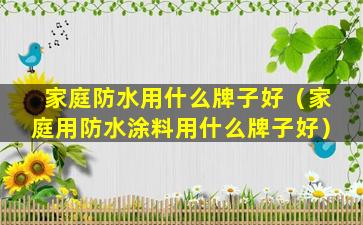 家庭防水用什么牌子好（家庭用防水涂料用什么牌子好）