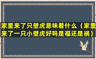 家里来了只壁虎意味着什么（家里来了一只小壁虎好吗是福还是祸）