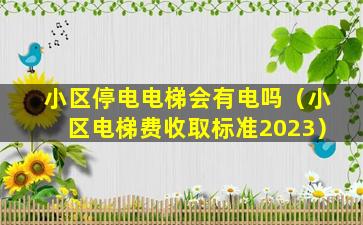 小区停电电梯会有电吗（小区电梯费收取标准2023）