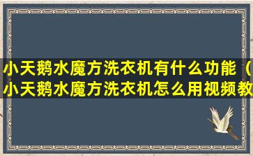 小天鹅水魔方洗衣机有什么功能（小天鹅水魔方洗衣机怎么用视频教程）