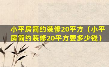 小平房简约装修20平方（小平房简约装修20平方要多少钱）