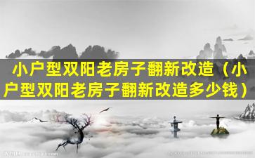 小户型双阳老房子翻新改造（小户型双阳老房子翻新改造多少钱）