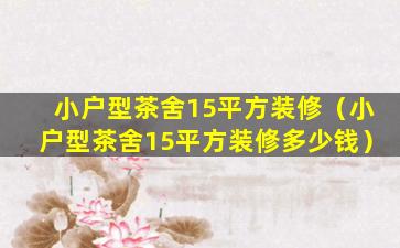 小户型茶舍15平方装修（小户型茶舍15平方装修多少钱）