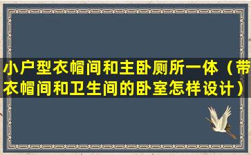 小户型衣帽间和主卧厕所一体（带衣帽间和卫生间的卧室怎样设计）