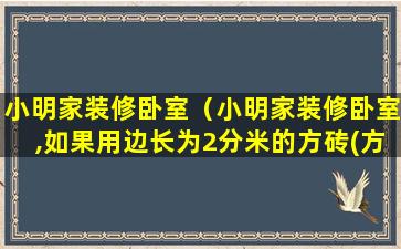 小明家装修卧室（小明家装修卧室,如果用边长为2分米的方砖(方程解答)）