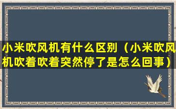 小米吹风机有什么区别（小米吹风机吹着吹着突然停了是怎么回事）