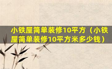 小铁屋简单装修10平方（小铁屋简单装修10平方米多少钱）