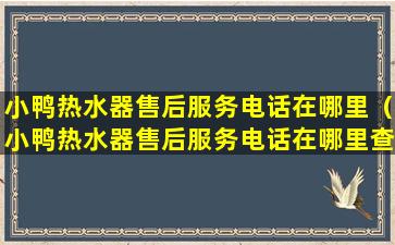 小鸭热水器售后服务电话在哪里（小鸭热水器售后服务电话在哪里查询）