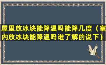 屋里放冰块能降温吗能降几度（室内放冰块能降温吗谁了解的说下）