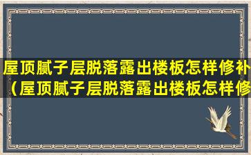 屋顶腻子层脱落露出楼板怎样修补（屋顶腻子层脱落露出楼板怎样修补视频）