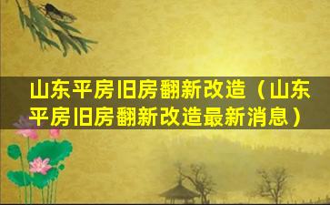 山东平房旧房翻新改造（山东平房旧房翻新改造最新消息）