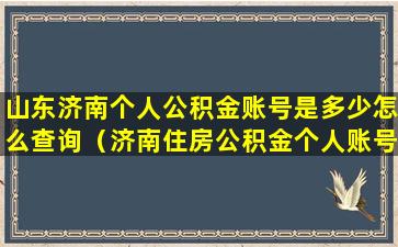 山东济南个人公积金账号是多少怎么查询（济南住房公积金个人账号怎么查询）