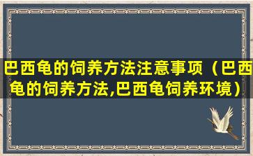 巴西龟的饲养方法注意事项（巴西龟的饲养方法,巴西龟饲养环境）