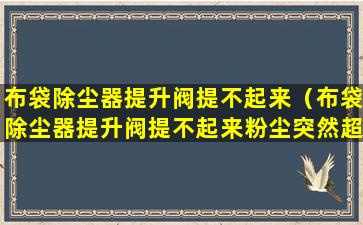 布袋除尘器提升阀提不起来（布袋除尘器提升阀提不起来粉尘突然超标什么情况）