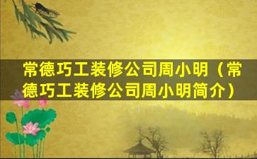 常德巧工装修公司周小明（常德巧工装修公司周小明简介）