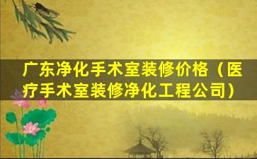 广东净化手术室装修价格（医疗手术室装修净化工程公司）