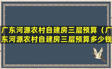 广东河源农村自建房三层预算（广东河源农村自建房三层预算多少钱）