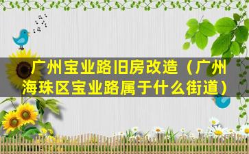 广州宝业路旧房改造（广州海珠区宝业路属于什么街道）