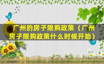 广州的房子限购政策（广州房子限购政策什么时候开始）