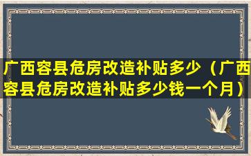 广西容县危房改造补贴多少（广西容县危房改造补贴多少钱一个月）