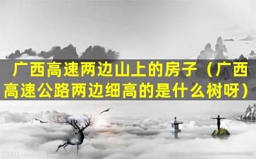 广西高速两边山上的房子（广西高速公路两边细高的是什么树呀）