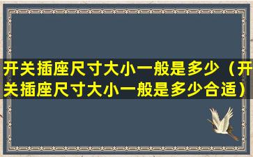 开关插座尺寸大小一般是多少（开关插座尺寸大小一般是多少合适）