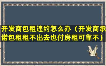 开发商包租违约怎么办（开发商承诺包租租不出去也付房租可靠不）