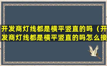 开发商灯线都是横平竖直的吗（开发商灯线都是横平竖直的吗怎么接）