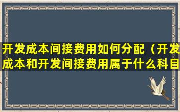 开发成本间接费用如何分配（开发成本和开发间接费用属于什么科目）