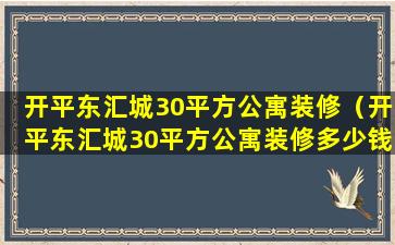 开平东汇城30平方公寓装修（开平东汇城30平方公寓装修多少钱）