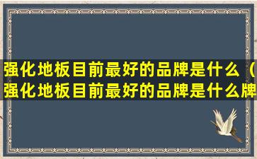 强化地板目前最好的品牌是什么（强化地板目前最好的品牌是什么牌子）