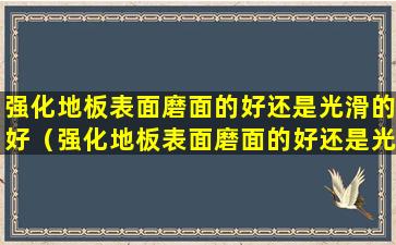 强化地板表面磨面的好还是光滑的好（强化地板表面磨面的好还是光滑的好用）