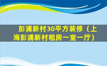 彭浦新村30平方装修（上海彭浦新村租房一室一厅）