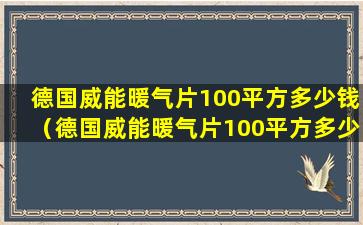 德国威能暖气片100平方多少钱（德国威能暖气片100平方多少钱一个）