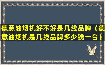 德意油烟机好不好是几线品牌（德意油烟机是几线品牌多少钱一台）