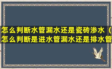 怎么判断水管漏水还是瓷砖渗水（怎么判断是进水管漏水还是排水管漏水）