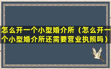 怎么开一个小型婚介所（怎么开一个小型婚介所还需要营业执照吗）