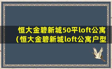 恒大金碧新城50平loft公寓（恒大金碧新城loft公寓户型图）