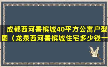 成都西河香槟城40平方公寓户型图（龙泉西河香槟城住宅多少钱一平）