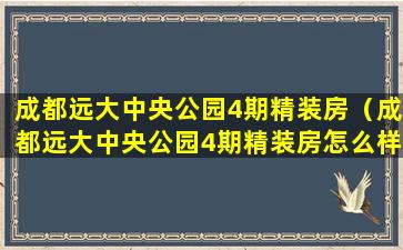 成都远大中央公园4期精装房（成都远大中央公园4期精装房怎么样）