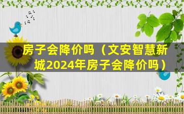 房子会降价吗（文安智慧新城2024年房子会降价吗）